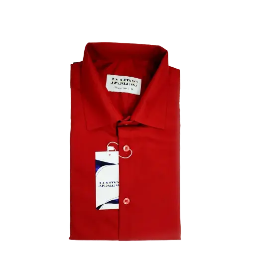 Men's Brick Red Full Sleeve Formal Shirt