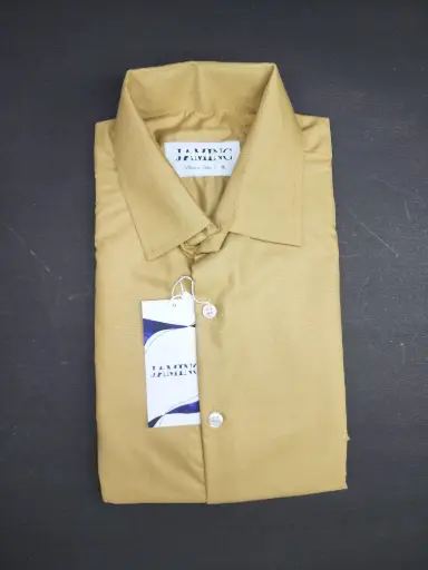 Men's Beige Formal Long sleeve shirt