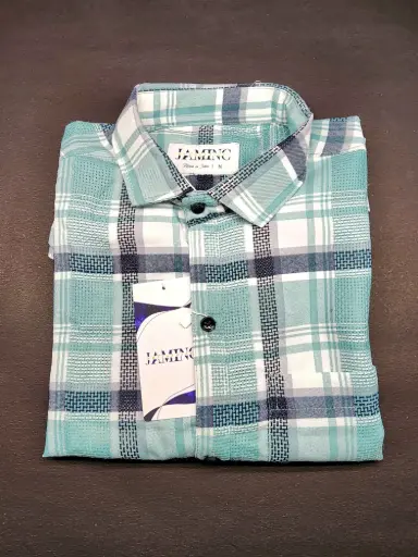 Men's Blue Full Sleeves Picano Checks Shirt